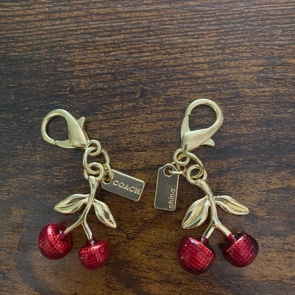 Coach purse charm, keychain or zipper pull, comes with Authentic Coach Dust Bag - Picture 5 of 8